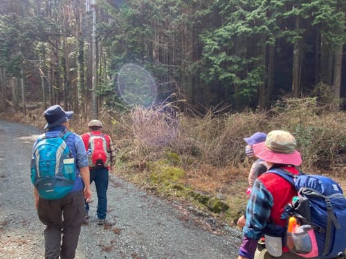 2日目にはクアオルト健康ウオーキング体験もできます!