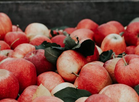 りんご農家さんにも訪問！収穫の秋は食の魅力がたくさん！