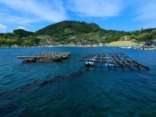 緑と青のコントラスト