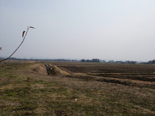 畑の周辺の景色