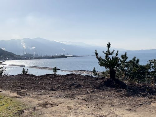 庭先からみた西側の景色