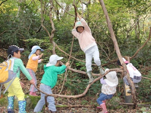 自然を使った遊び