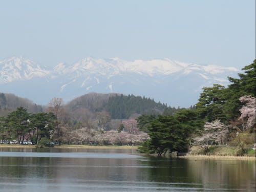 市民の憩いの場所、南湖公園。