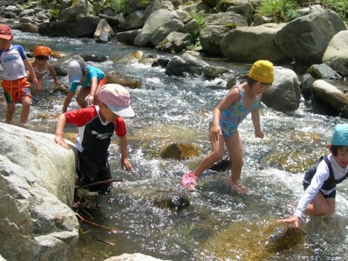 自然の川で泳ぐ夏