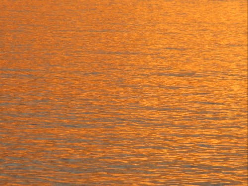 焼ける水面