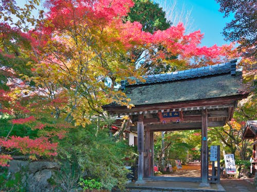 歴史的建造物も全国でトップクラスにあります。