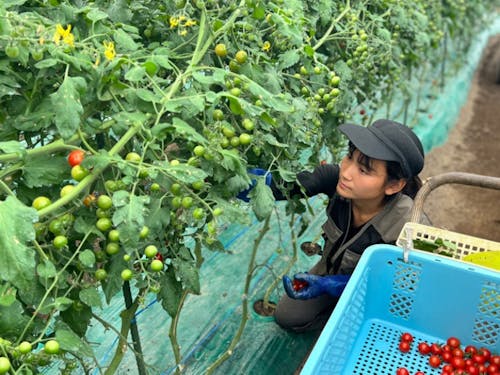 移住して農業はありか?なしか?