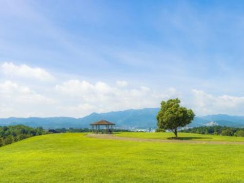 緑豊かな三段池公園