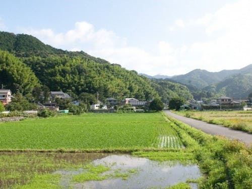 少し車を走らせると田舎風景も楽しめます!