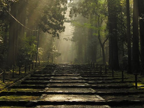 国史跡白山平泉寺の神秘的な景観