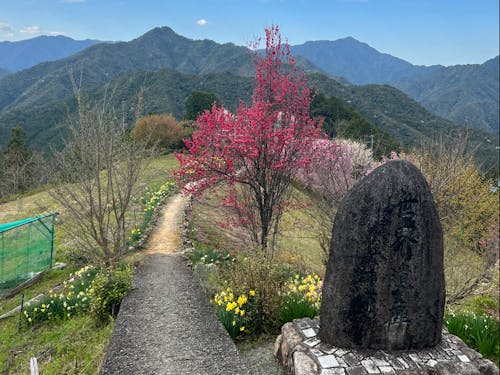 世界遺産・熊野古道小辺路「果無集落」