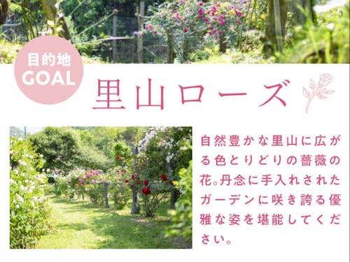 バラ園「里山ローズ」