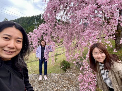 桜の季節に村内アテンド