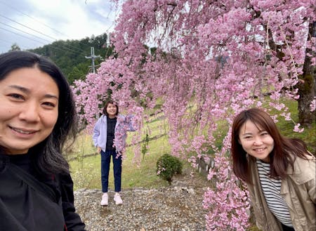 桜の季節に村内アテンド