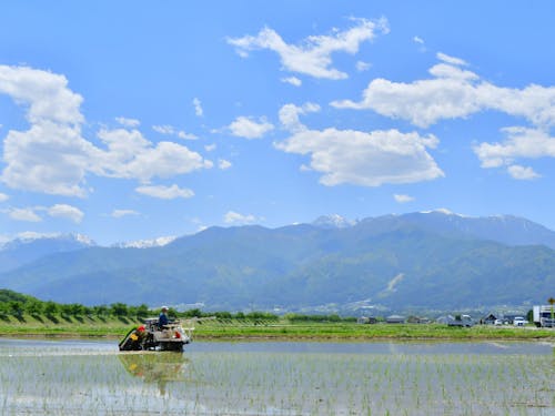 アルプスの景色を眺めながらの農作業、自然からの恵みを大いに感じます!