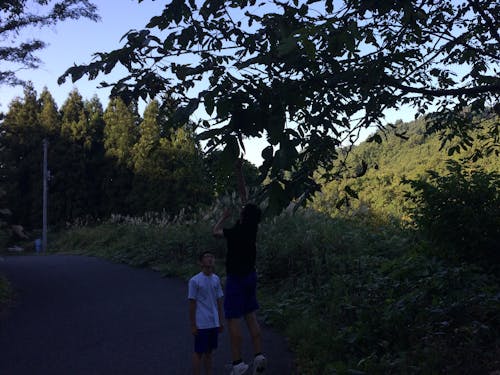 くるみをジャンプして取る石川くん