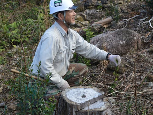 森林組合おわせさんによる林業体験(山のしごと)。