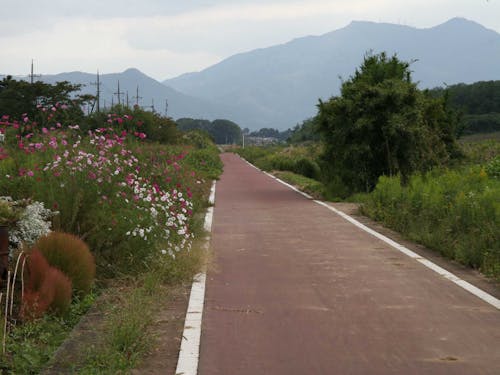 ナショナルサイクルルートにも認定されている「つくば霞ヶ浦りんりんロード」」