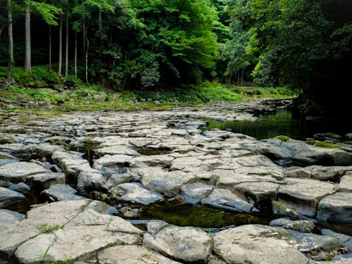 自然が造り出す造形美「畳が淵」
