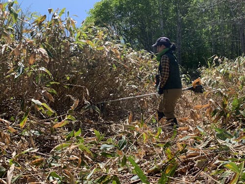 プロジェクトリーダーの地域おこし協力隊・清水さん