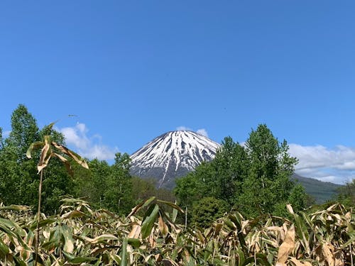 4合目付近。羊蹄山も綺麗に見えます。