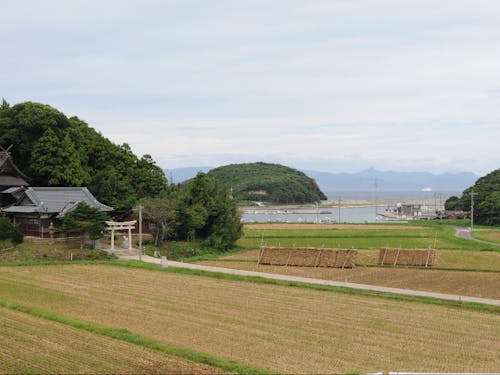 通勤の景色に癒されます♪