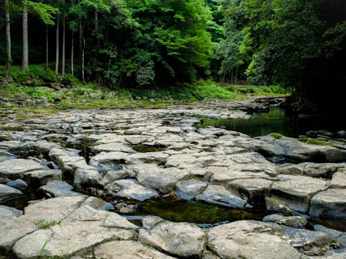 龍が通った道「畳が淵」