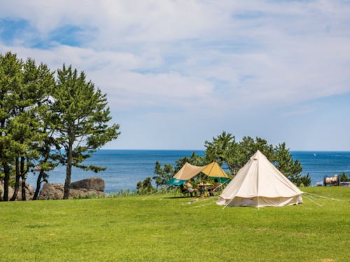 観光コンテンツの紹介