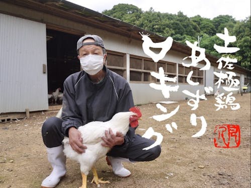 肥育地鶏の販路拡大を行います。