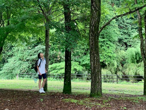 夏のお楽しみ 昆虫採集