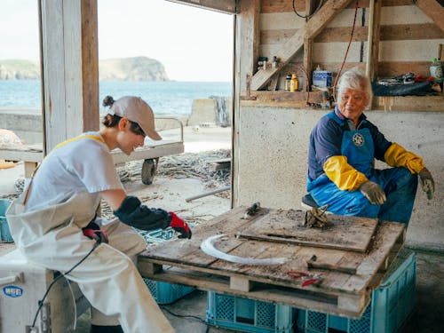 一次産業現場で働く島体験生の様子