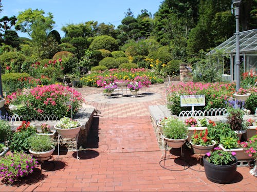 花いっぱいコンクール