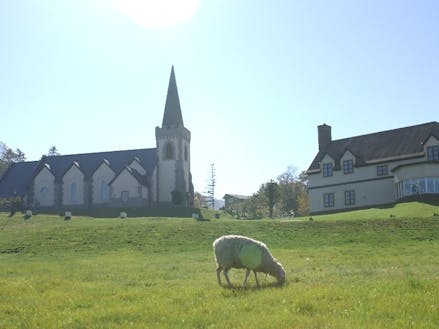 人気の教会と羊