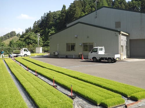 ライスセンター外観