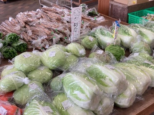 道の駅には朝採れ野菜が並びます！
