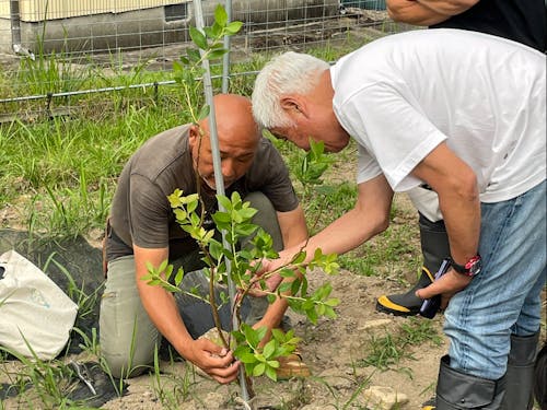 新しい「農」への関心が高まっています