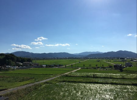 亀岡は京の山々からの豊かな水資源の恵みがある米どころです