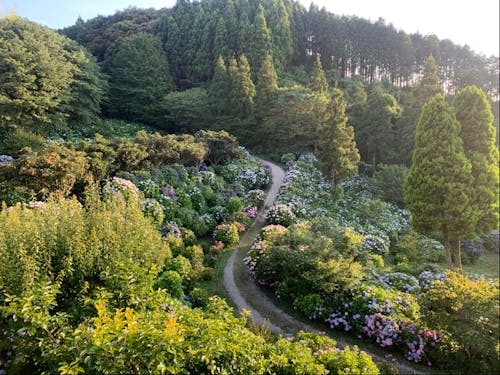 淡路島は海だけではなく緑も豊か。