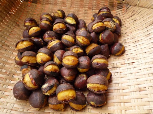 焼きたての能登栗、とても美味しそうです