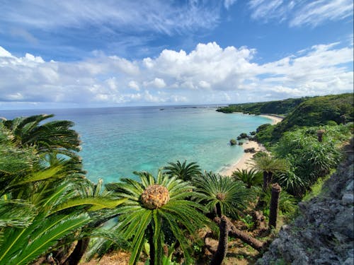 南の島でのんびりLIFEを!