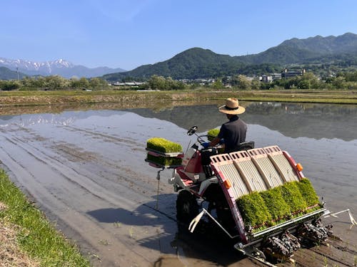 みなかみ町農業体験プログラム募集中!