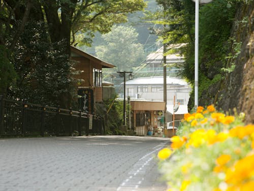 自分らしい暮らし方を探してみませんか。