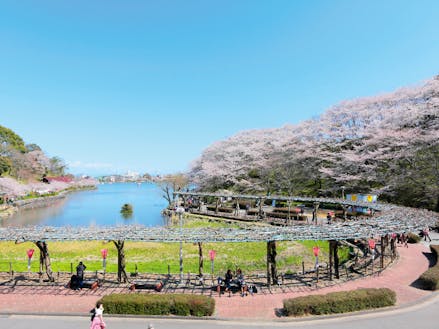 蓮華寺池公園は市外からも人が集まる人気スポットです☆