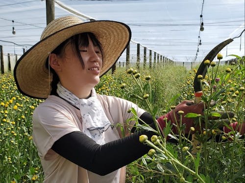 花卉農家にて