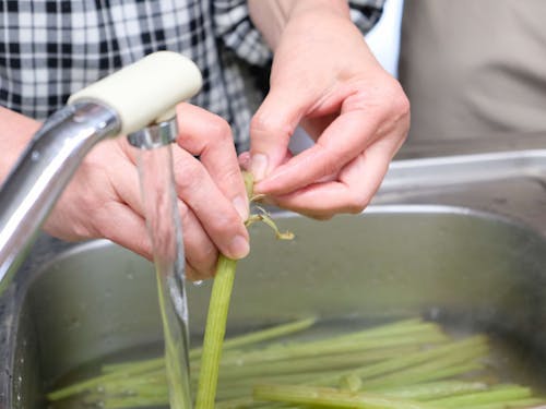 茹でたふきを剥いていきます