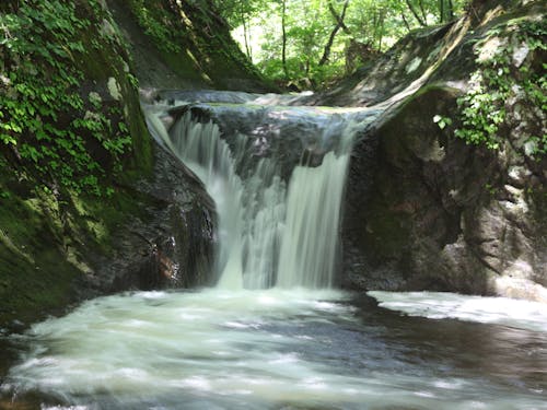 聖ヶ岩キャンプ場の周辺の光景。