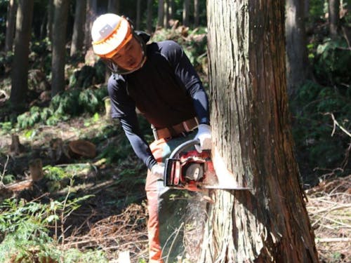 農・林・漁業が盛んな地域も