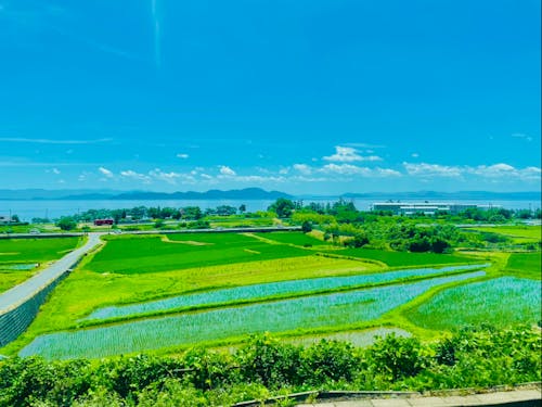 大津市北部の田園風景