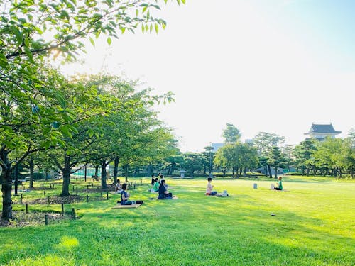 朝活♪玉藻公園でお城ヨガ