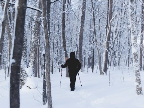雪のリトリートプログラムの例 スノーシュー